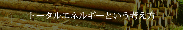 トータルエネルギーという考え方